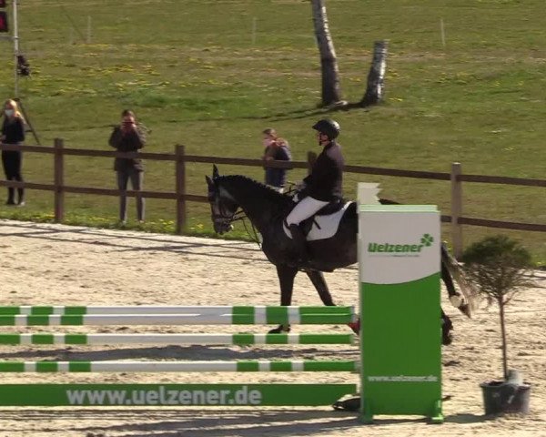Reitturnier Westergellersen 2021