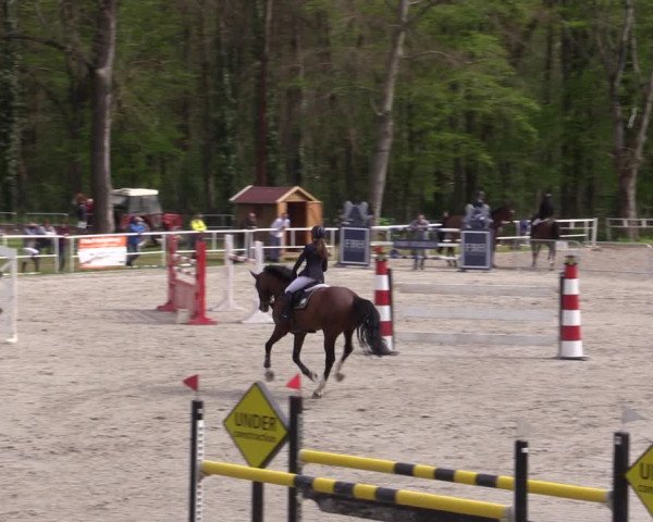 Reitturnier Prussendorf 2021
