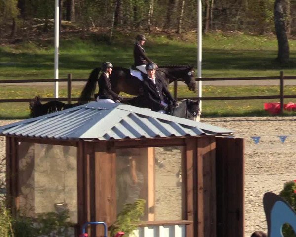 Reitturnier Westergellersen 2021