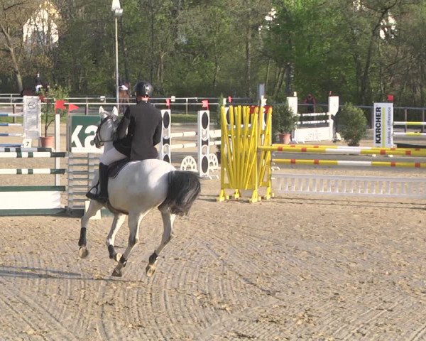 Reitturnier Winnenden 2021