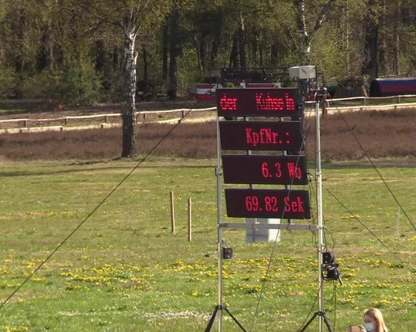 Reitturnier Westergellersen 2021
