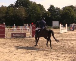 jumper Caprice 387 (Westphalian, 2001, from Collin L)