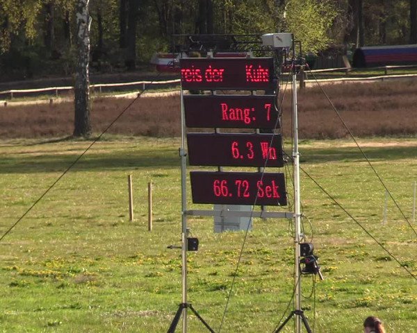 Reitturnier Westergellersen 2021
