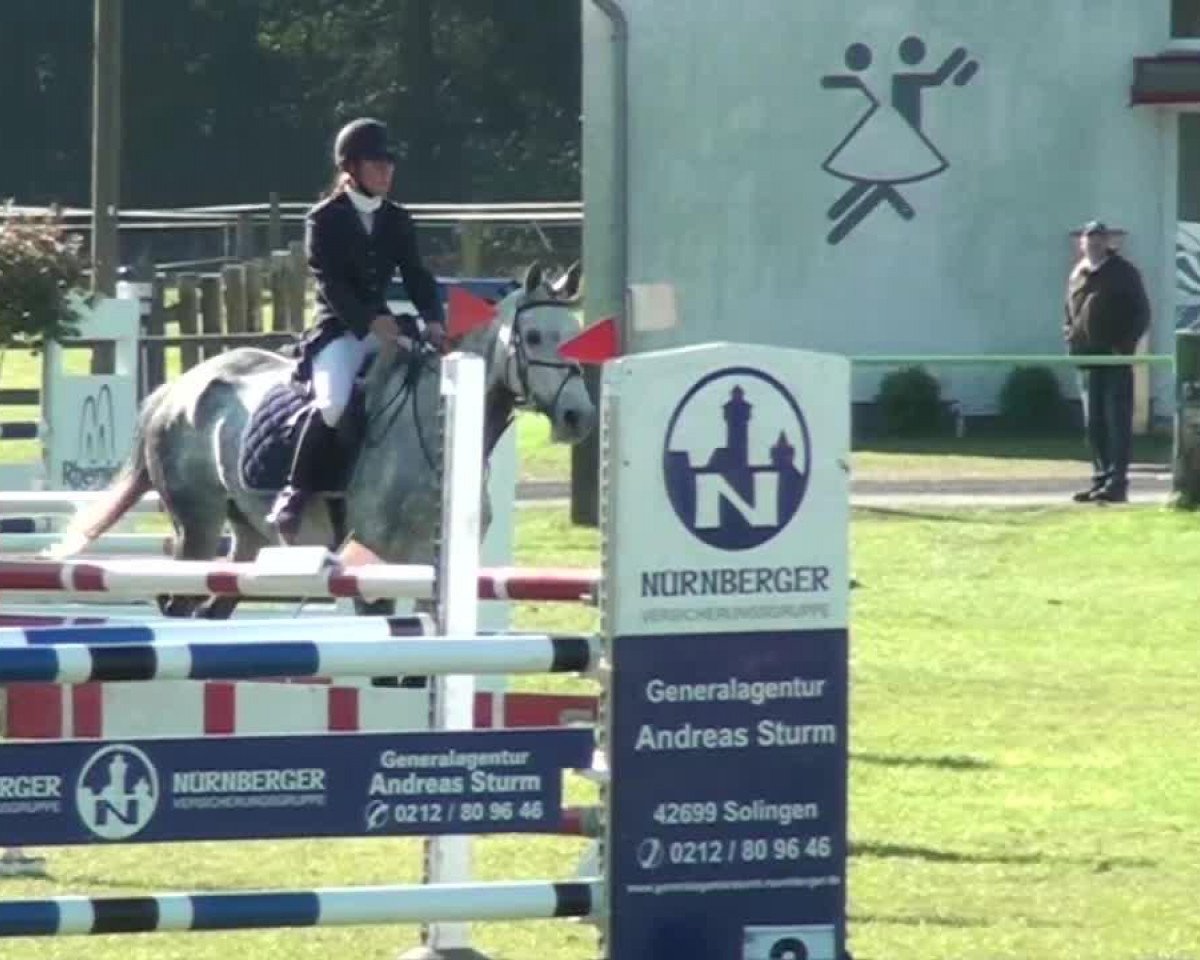 jumper Carinja 4 (Rhinelander, 2003, from Cordobes I)