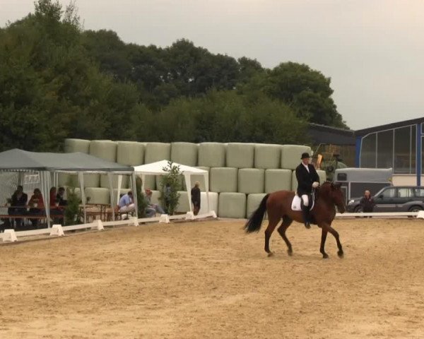 dressage horse Lizarazu 9 (Westphalian, 2000, from Lamoureux II)