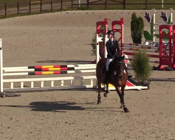 Reitturnier Westergellersen 2021