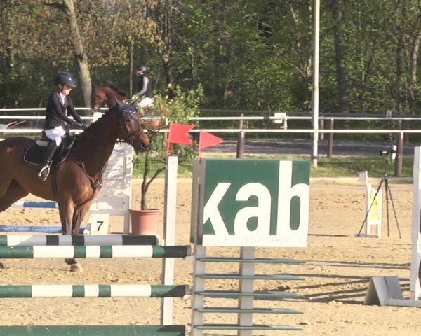 Reitturnier Winnenden 2021