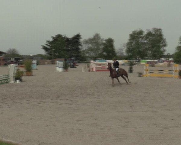 Reitturnier Monheim - Gut Blee 2021