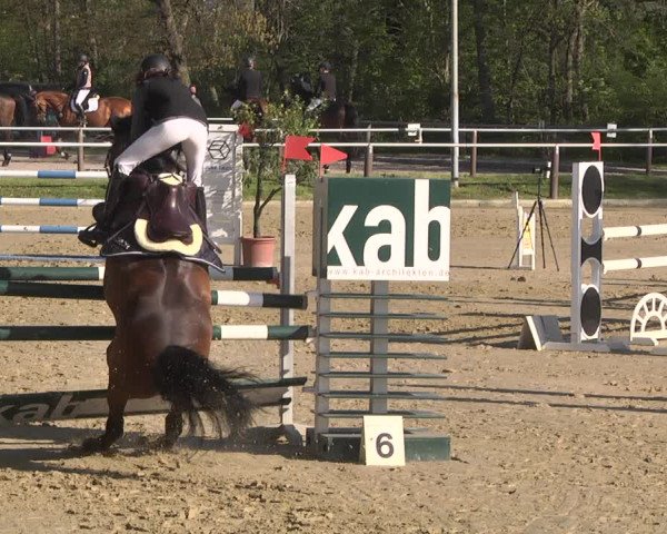 Reitturnier Winnenden 2021