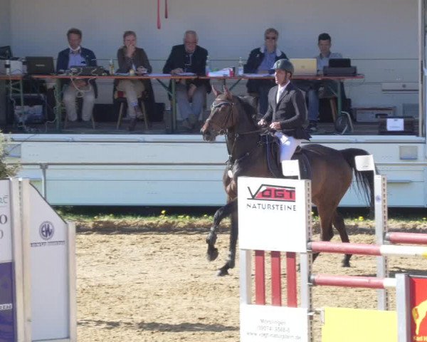 Reitturnier Zoltingen/Schw. 2021