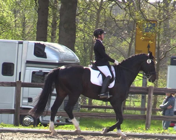 Reitturnier Schwanewede 2021