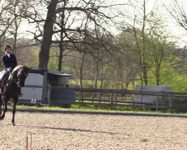 Reitturnier Schwanewede 2021