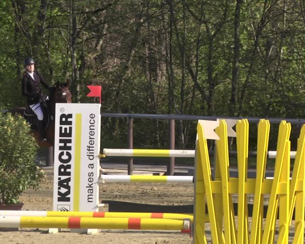 Reitturnier Winnenden 2021