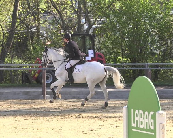Reitturnier Winnenden 2021