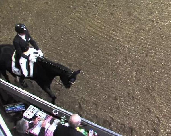 dressage horse Brioni 6 (Hanoverian, 2000, from Bergamon)
