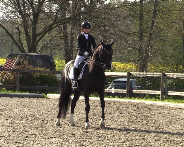 Reitturnier Schwanewede 2021