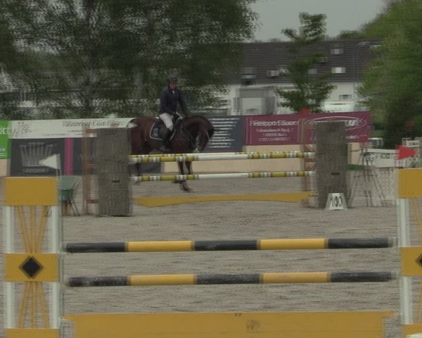 Reitturnier Monheim - Gut Blee 2021