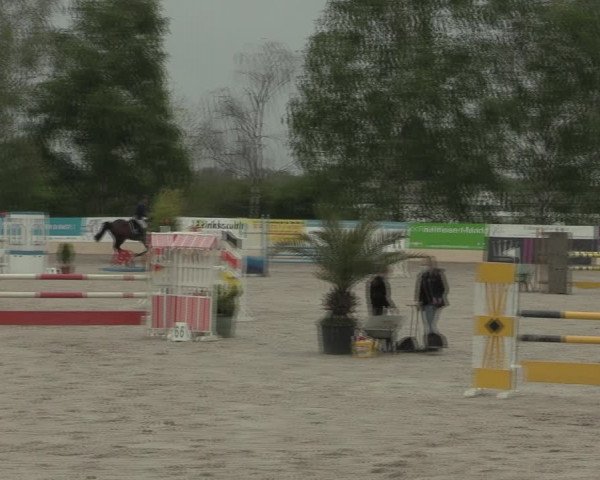 Reitturnier Monheim - Gut Blee 2021