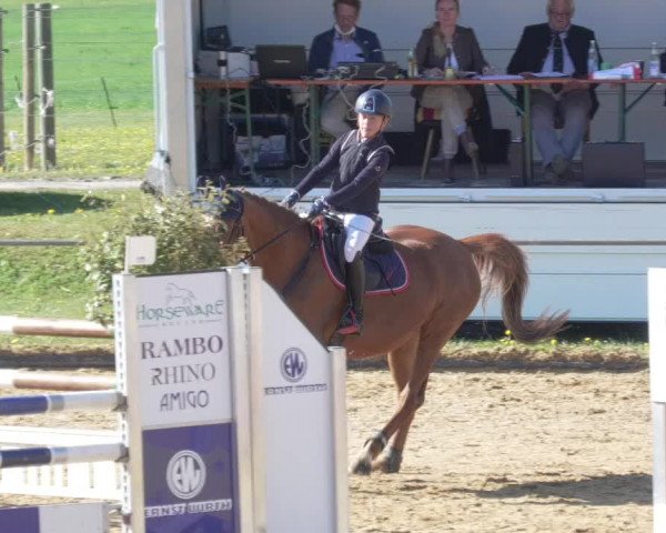 Reitturnier Zoltingen/Schw. 2021
