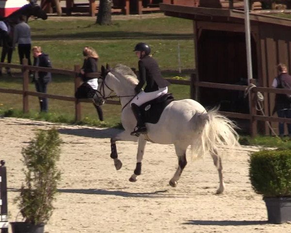 Reitturnier Westergellersen 2021
