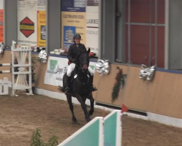 jumper Affection B (Oldenburg, 2006, from Abke 4)