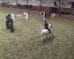 jumper Casper de Luxe 2 (German Sport Horse, 2004, from Cellestial)