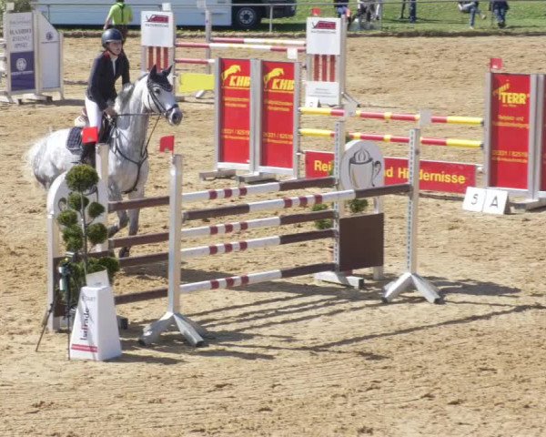 Reitturnier Zoltingen/Schw. 2021