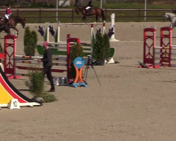 Reitturnier Westergellersen 2021