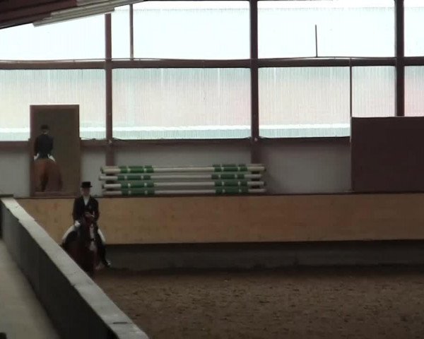 dressage horse Carla Couleur (Westphalian, 2004, from Couleur Rubin)