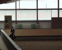 dressage horse Carla Couleur (Westphalian, 2004, from Couleur Rubin)