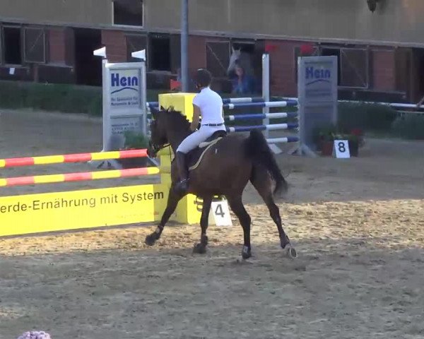 jumper Carcasonne (Oldenburg, 2004, from Cordalme Z)