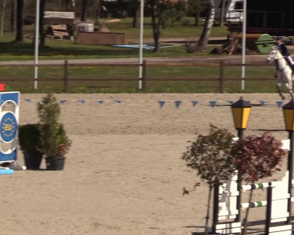 Reitturnier Westergellersen 2021