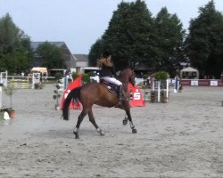 jumper Lupo 96 (Westphalian, 2002, from Lupicor)