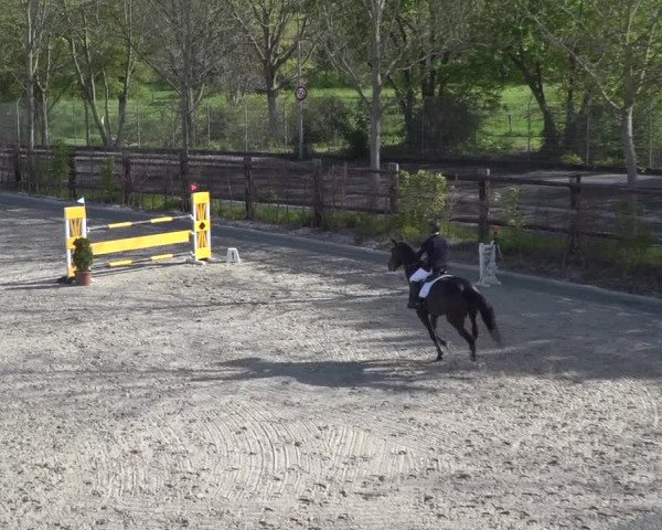 Reitturnier Monheim - Gut Blee 2021