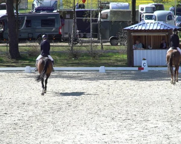 Reitturnier Westergellersen 2021
