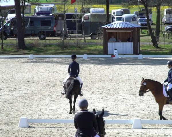 Reitturnier Westergellersen 2021