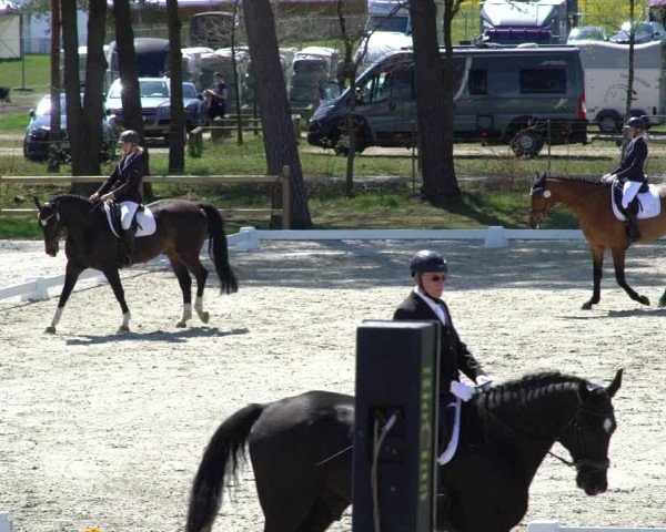 Reitturnier Westergellersen 2021