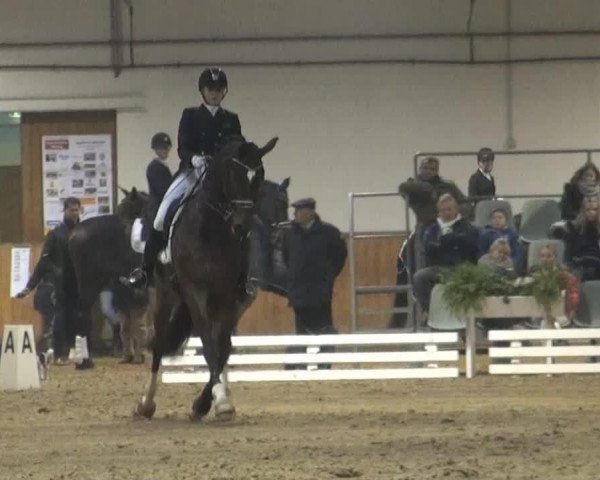 dressage horse Welcome Forever (Hanoverian, 1997, from Welt Hit II)