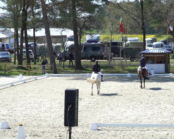 Reitturnier Westergellersen 2021