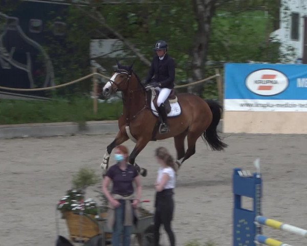 Reitturnier Monheim - Gut Blee 2021