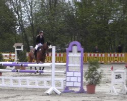 jumper Sanssoucis 4 (Oldenburg, 2003, from Sion)