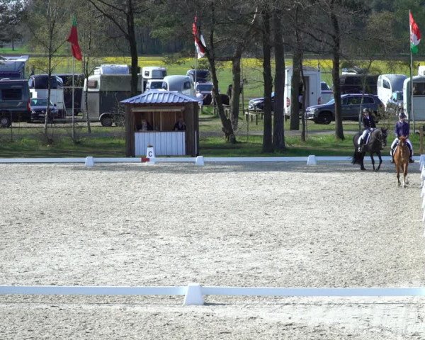 Reitturnier Westergellersen 2021
