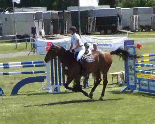 jumper Lotario 2 (Holsteiner, 2004, from Landos)