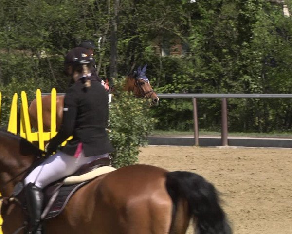 Reitturnier Winnenden 2021