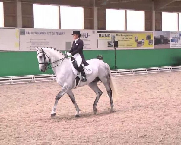 Dressurpferd Rolex (KWPN (Niederländisches Warmblut), 1998, von Rolls Royce)