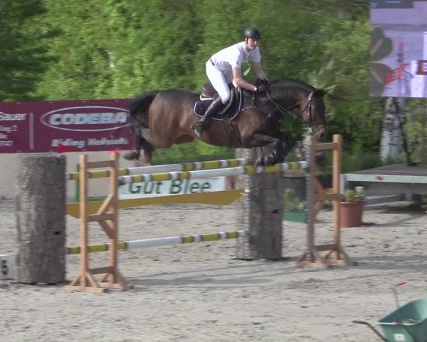 Reitturnier Monheim - Gut Blee 2021