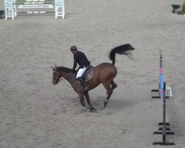 Reitturnier Monheim - Gut Blee 2021