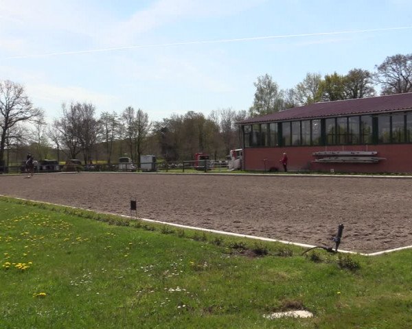 Reitturnier Schwanewede 2021