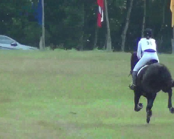 Springpferd Chagall 124 (Deutsches Reitpony, 1993, von Croupier)