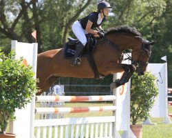broodmare Claudi Tessa (German Sport Horse, 2012, from Claudio's Son)
